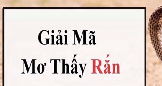 giai-ma-giac-mo-thay-ran